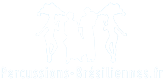 logo Team Building de percussions brésiliennes