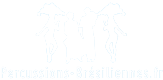 logo percussions et danse brésiliennes